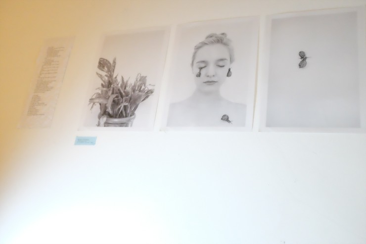 Pictures from opening party
