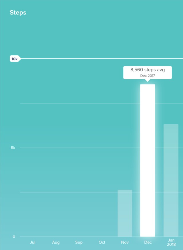 Steps December and January 2018
